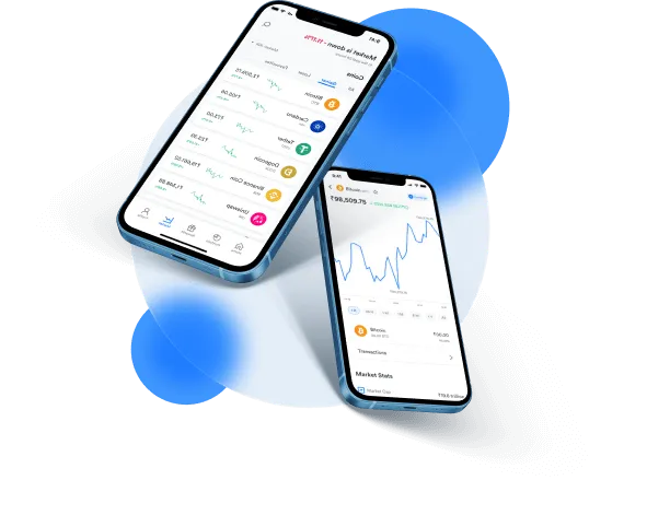 Funnel Virexa - Decentralized Economic Structure
